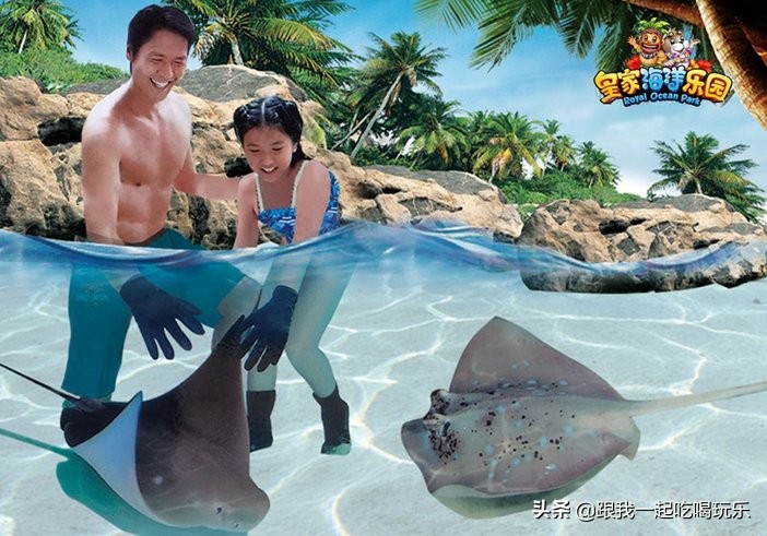 抚顺海洋馆外面有什么,沈阳和抚顺哪个海洋馆比较好