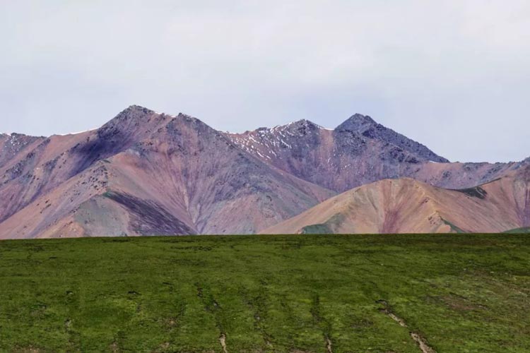 锦江之星亚洲第一,锦江之星缅北店