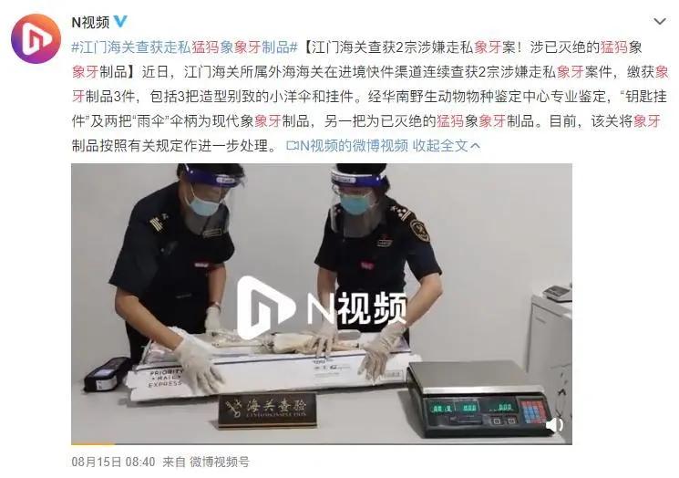 天津猛犸象牙 (天津猛犸象牙商店)