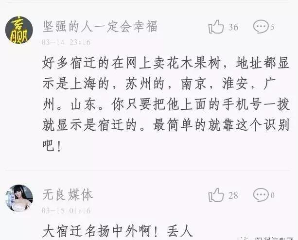 宿迁神苗淘宝,宿迁神苗真假对比