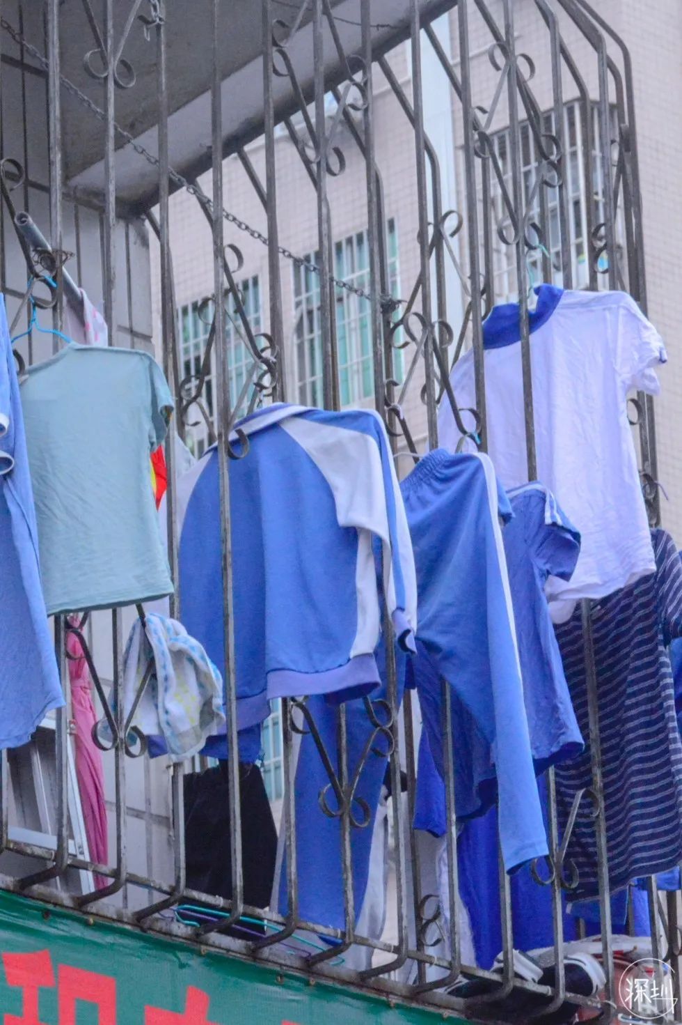 固戍怎么样,固戍为什么这么强