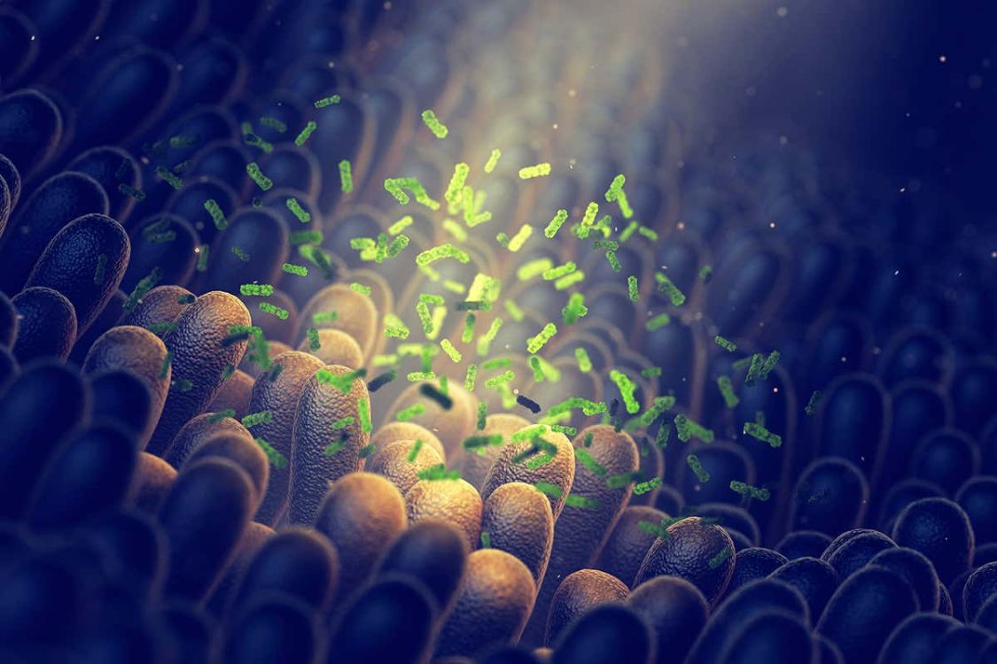 美国学者通过纳米载体递送药物预防婴儿早产