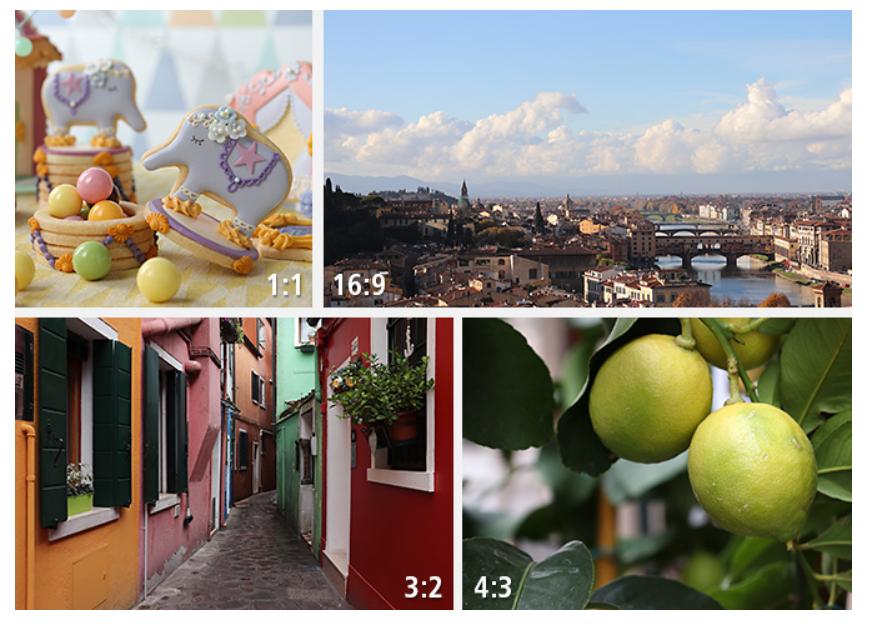 新手入门佳能800d配什么镜头,佳能入门级单反eos800d在售价格