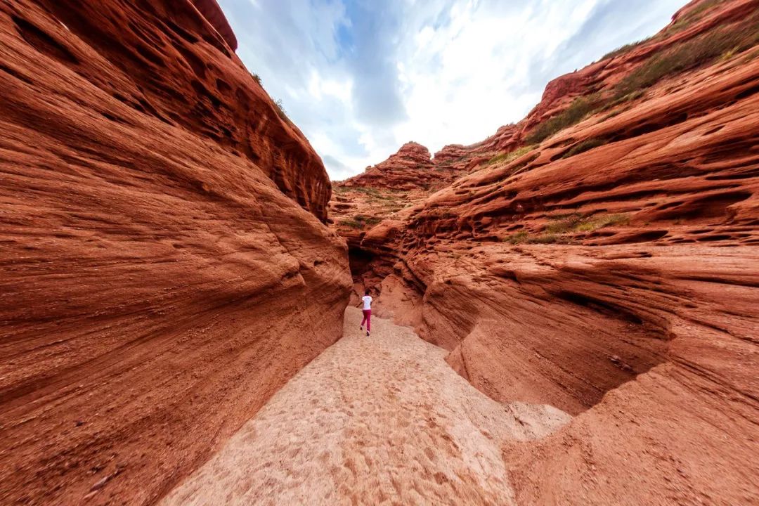 涓嶈兘鍘诲鍦扮殑鐞嗙敱,浜旂浜轰笉鑳藉幓鐤嗗唴鏃呮父