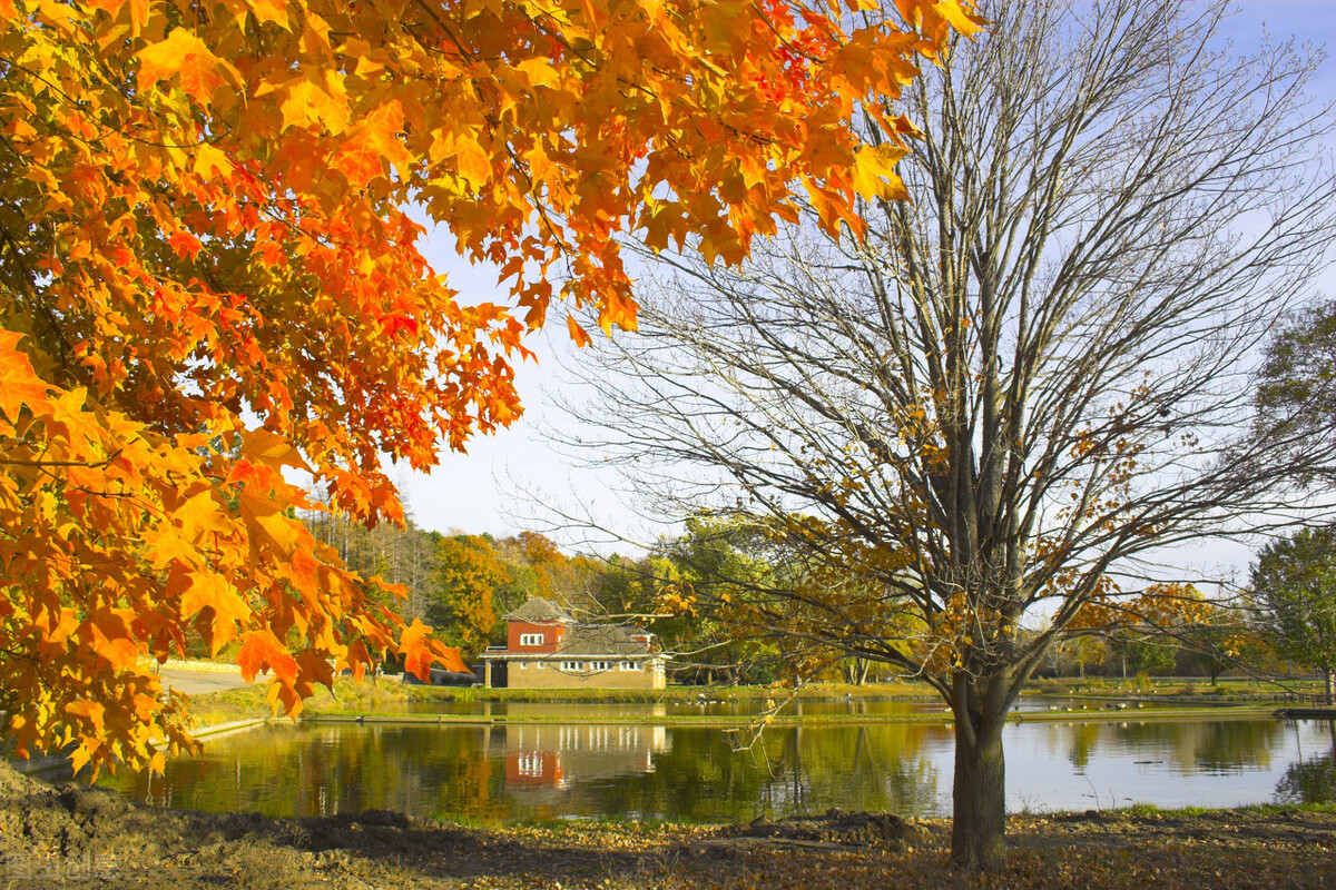 股票入门干货教程十步学会炒股,股票单边行情买卖技巧