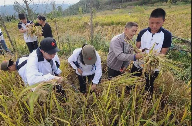 2024棠湖中学招生计划,2022小升初棠外计划招生人数