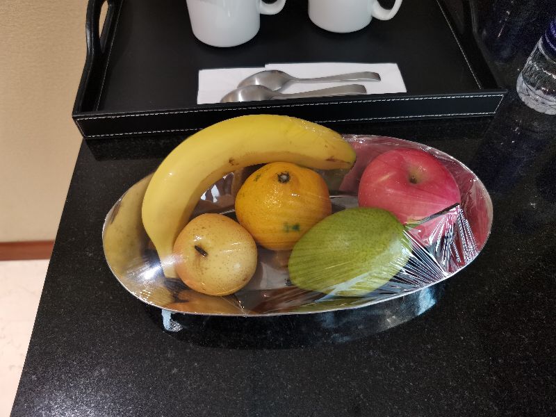 沈阳希尔顿逸林价格,沈阳希尔顿逸林酒店值得入手吗