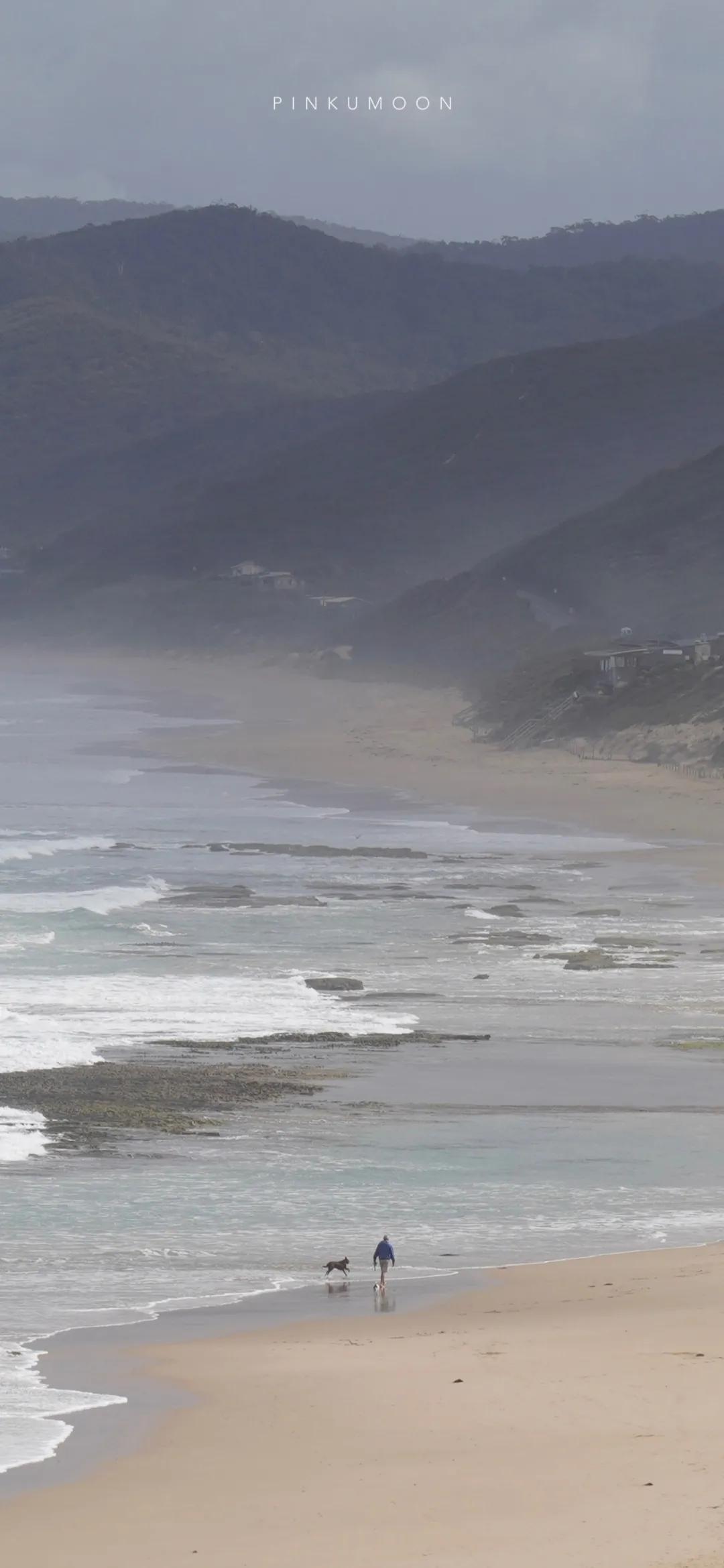 紫色小清新文艺壁纸推荐,紫色仙气十足的壁纸