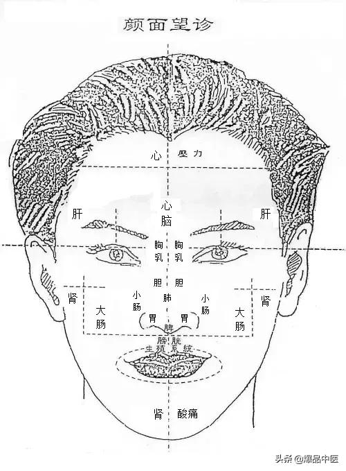 全息望诊大全视频,浅议生物全息律与中医望诊
