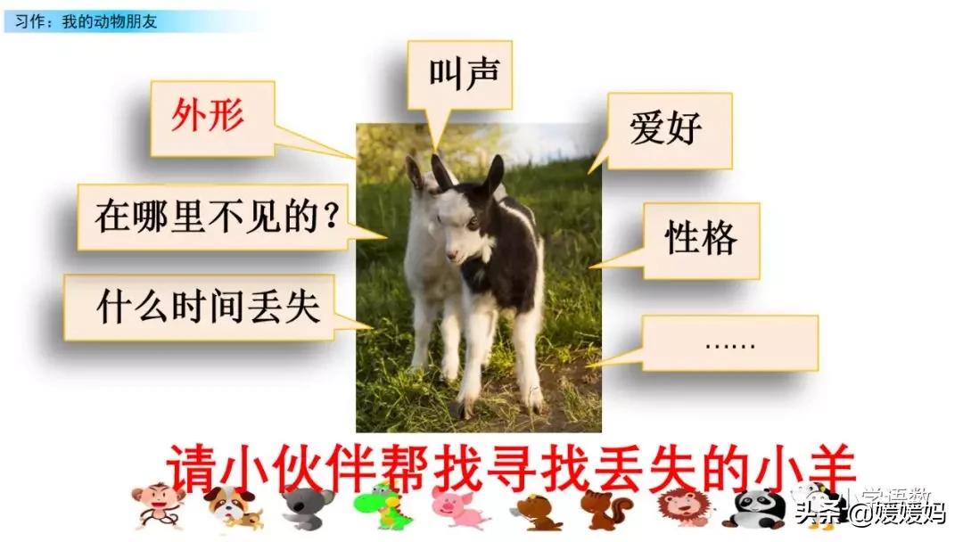 四下四单元我的动物朋友,第四单元我的动物朋友四年级上册