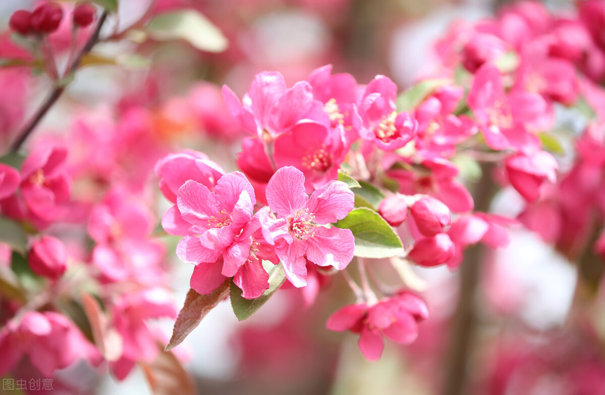 婆婆:当父母的花你们钱怎么了?我:经过我同意吗?凭什么?