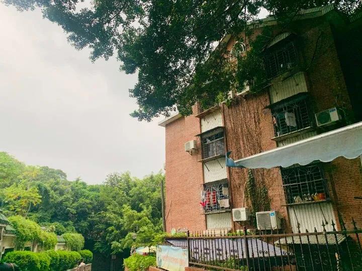 六月去厦门天气好吗,六月去厦门哪里好玩