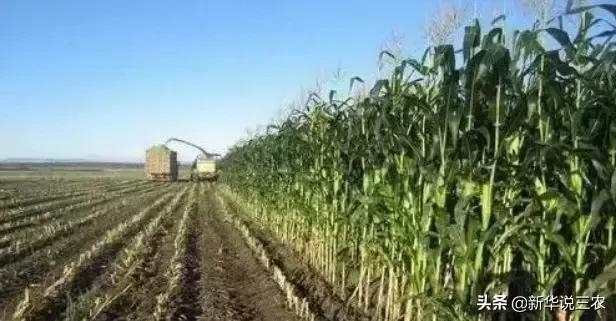 未来5年畜牧养殖业的10大商机！抓住机会你就是赢家