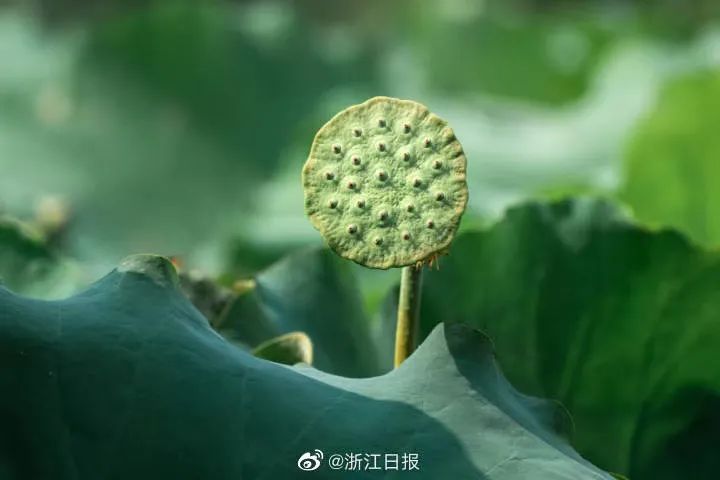 弘进轮11名船员确诊新2冠,弘进轮11名船员确诊新冠