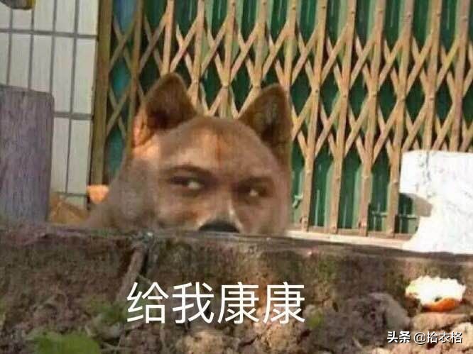 张子枫欧阳娜娜穿衣,欧阳娜娜卖的衣服