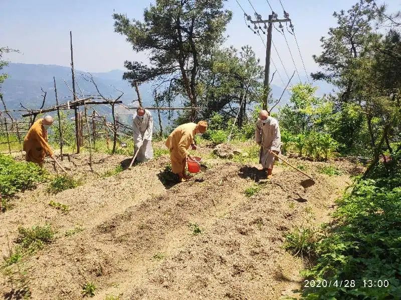 抢抓农时开展农业生产,农民纷纷抢抓春耕生产有利时机
