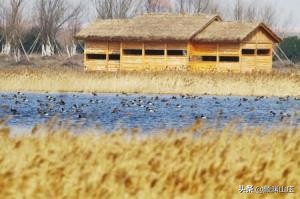 阿拉宁波特色菜,阿拉宁波潮玩