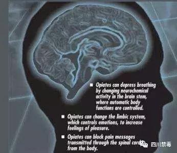 真实的吸毒者有多恐怖,吸毒后的恐怖事件