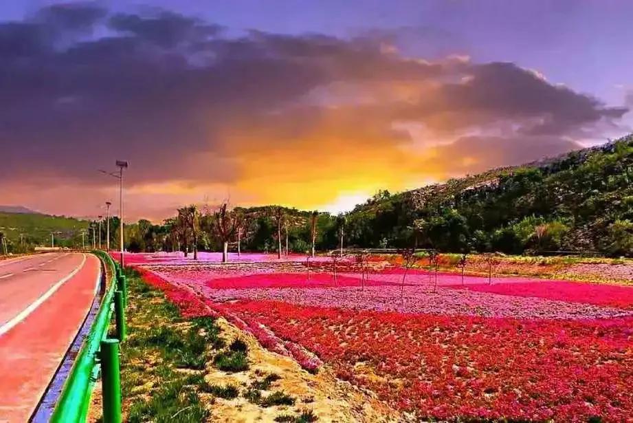 潍坊这5条颜值爆表的自驾线路，藏着美景无数，每一公里都美到极致！