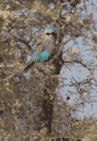 开心一刻gif搞笑动图,搞笑gif段子看起来能量满满