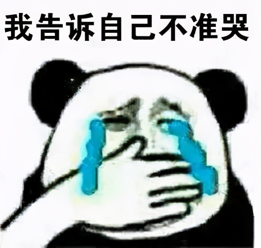 背上小猪去旅行（第一季）自驾穿越中国｜雪山的遗憾