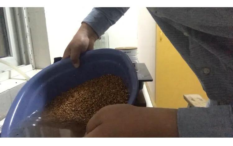 白酒生料酿酒发酵技巧视频,家庭白酒酿酒最简单的方法