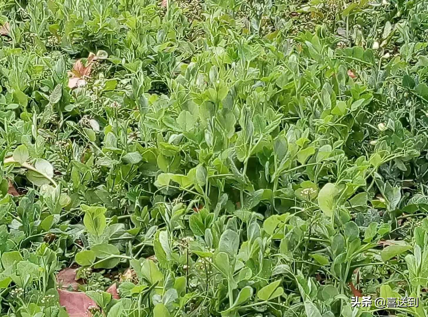 夫妻之间性格不合,夫妻之间性格不合应该怎么办