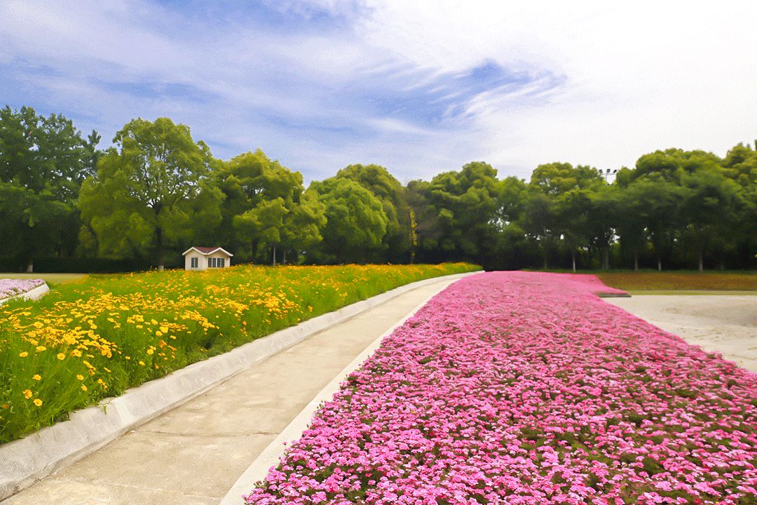 南京公园免费日期,免费公园南京