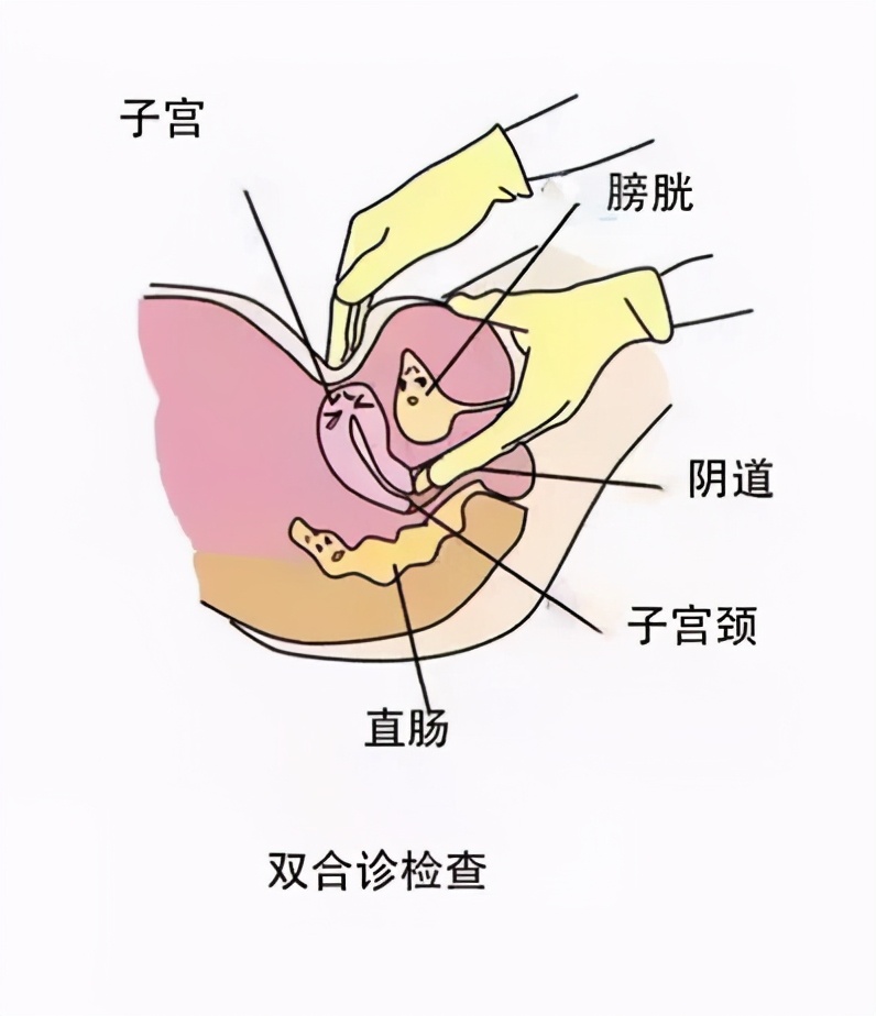 腹痛去就诊，医生却把手指伸进阴道：性侵与治病只隔了一层窗户纸