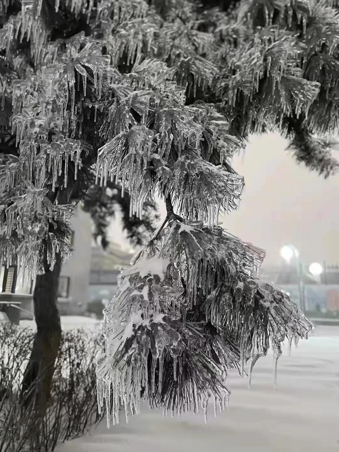 关于退票的相关知识,非必要不出京后航班如何全额退票