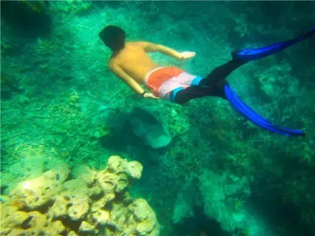 对帕劳之行的感悟,帕劳一场诗和远方的旅行