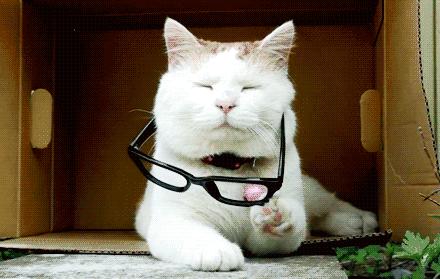 瀹犵埍鍥介檯鍔ㄧ墿鍖婚櫌闄㈣,瀹犵埍鍥介檯鍔ㄧ墿鍖婚櫌浣撳唴椹辫櫕