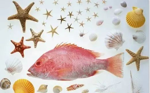 孕期为什么要补充dha如何补,如何确定孕妇是否有必要补充dha