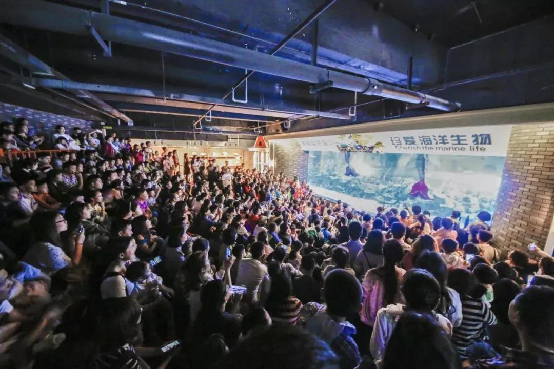 成都海洋馆浩海立方奇幻之旅,成都浩海海洋立方馆和海洋世界