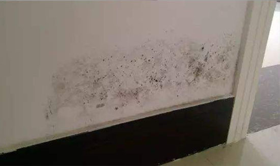 墙面渗水发霉脱落修补方法,墙面发霉是谁的责任