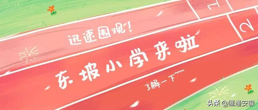 东坡区新增2所小学,颍州区学校最新消息