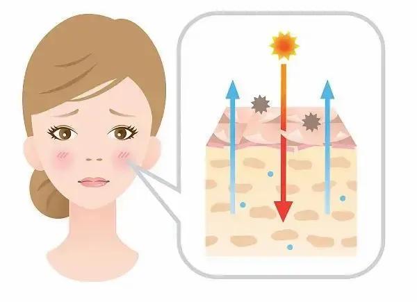 含酒精的护肤品靠谱吗,含有酒精的护肤品缺点