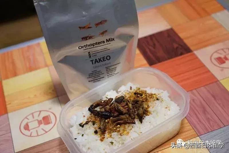 日本昆虫拉面自助售卖机,日本活体昆虫自助售卖机