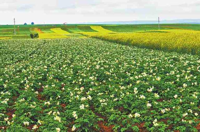 榆林农业产业园区地址位置,榆林国家现代农业科技示范园