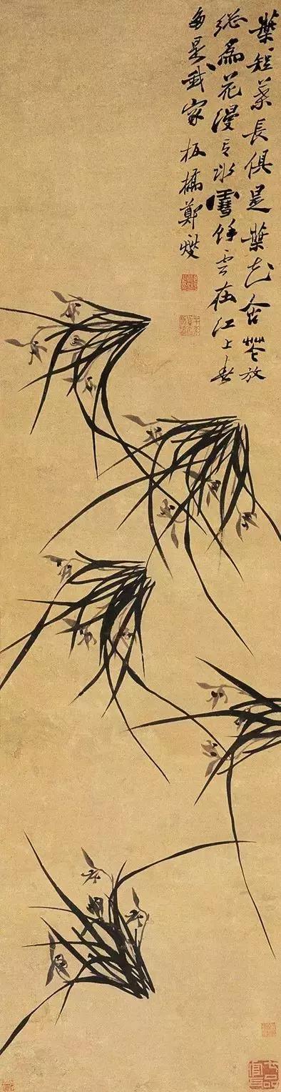 讲解郑板桥兰花画,郑板桥画兰花作品