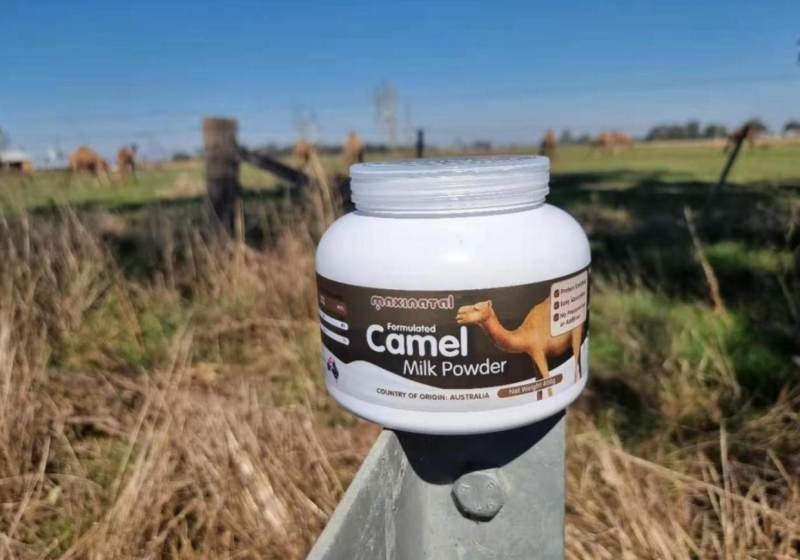 maxinatal骆驼奶粉评测,澳洲maxinatal的骆驼奶怎么样