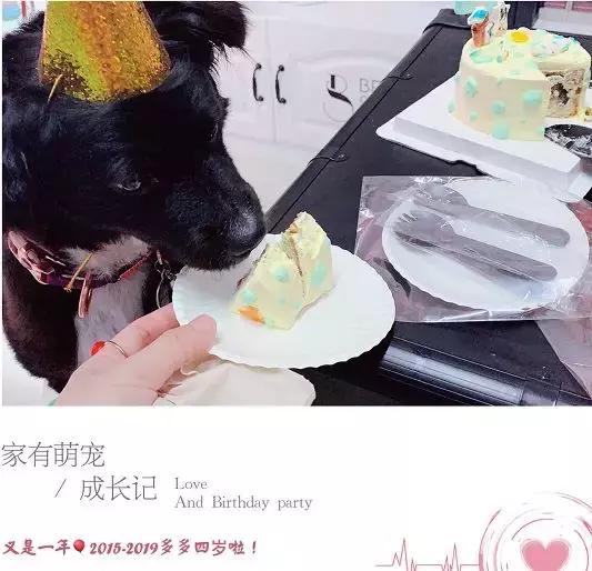 「活动」表达爱的方式有很多，选择联萌宠物餐厅是最直接的一种