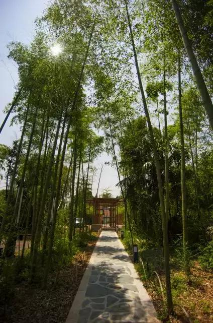 性价比极高的民宿推荐,民宿超推荐让你置身世外的感觉