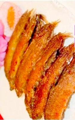 海南野生刀鳅鱼,野生刀鳅鱼