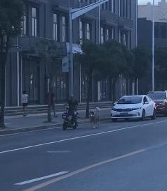 祛斑骗局揭秘,女子祛斑15分钟花了3万