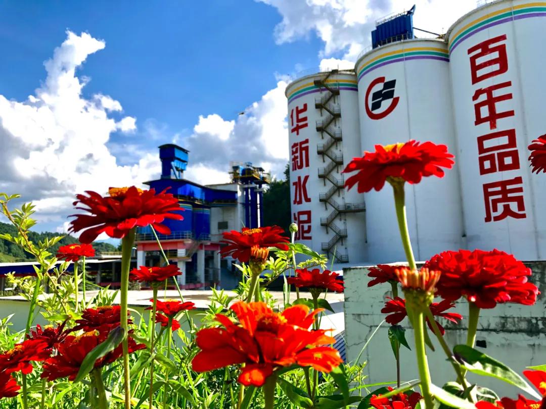 寻找最美工厂|华新云龙公司多彩之秋