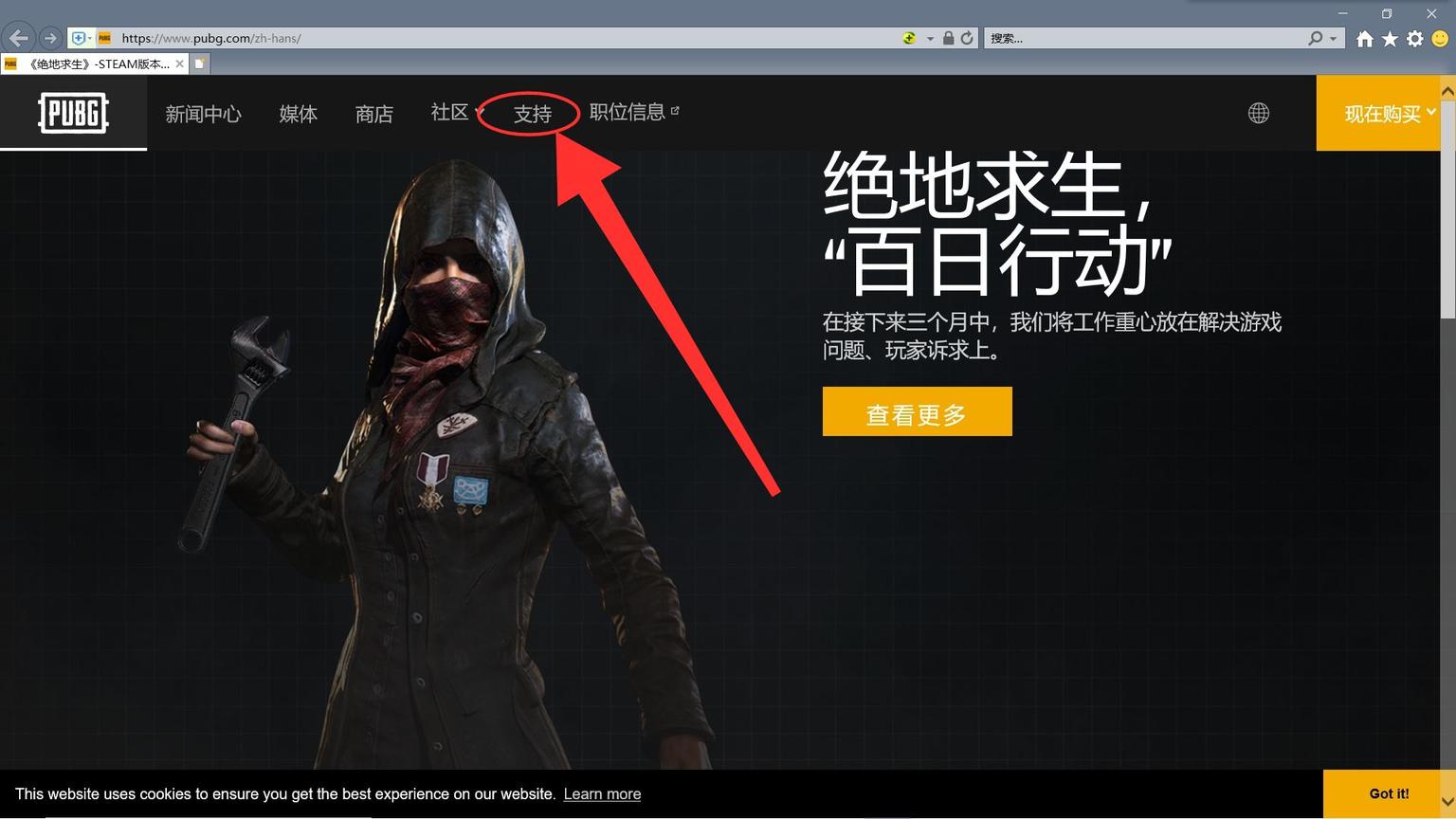 pubg被盗号封了一天,pubgvac封禁淘宝能申诉吗