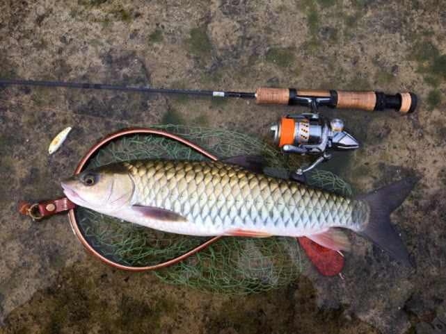 路亚新手装备推荐品牌,新手入门便宜路亚装备推荐