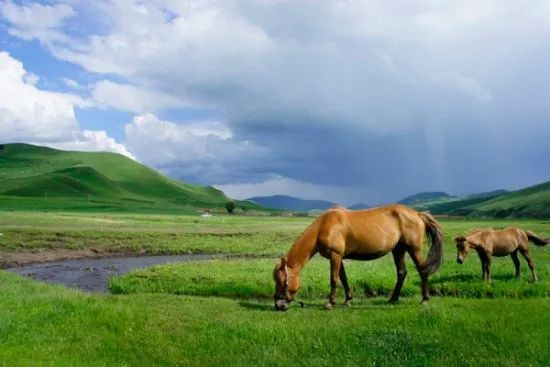 「992|动听河北」这条“天路”不仅最适合自驾游，还是一个武侠世界