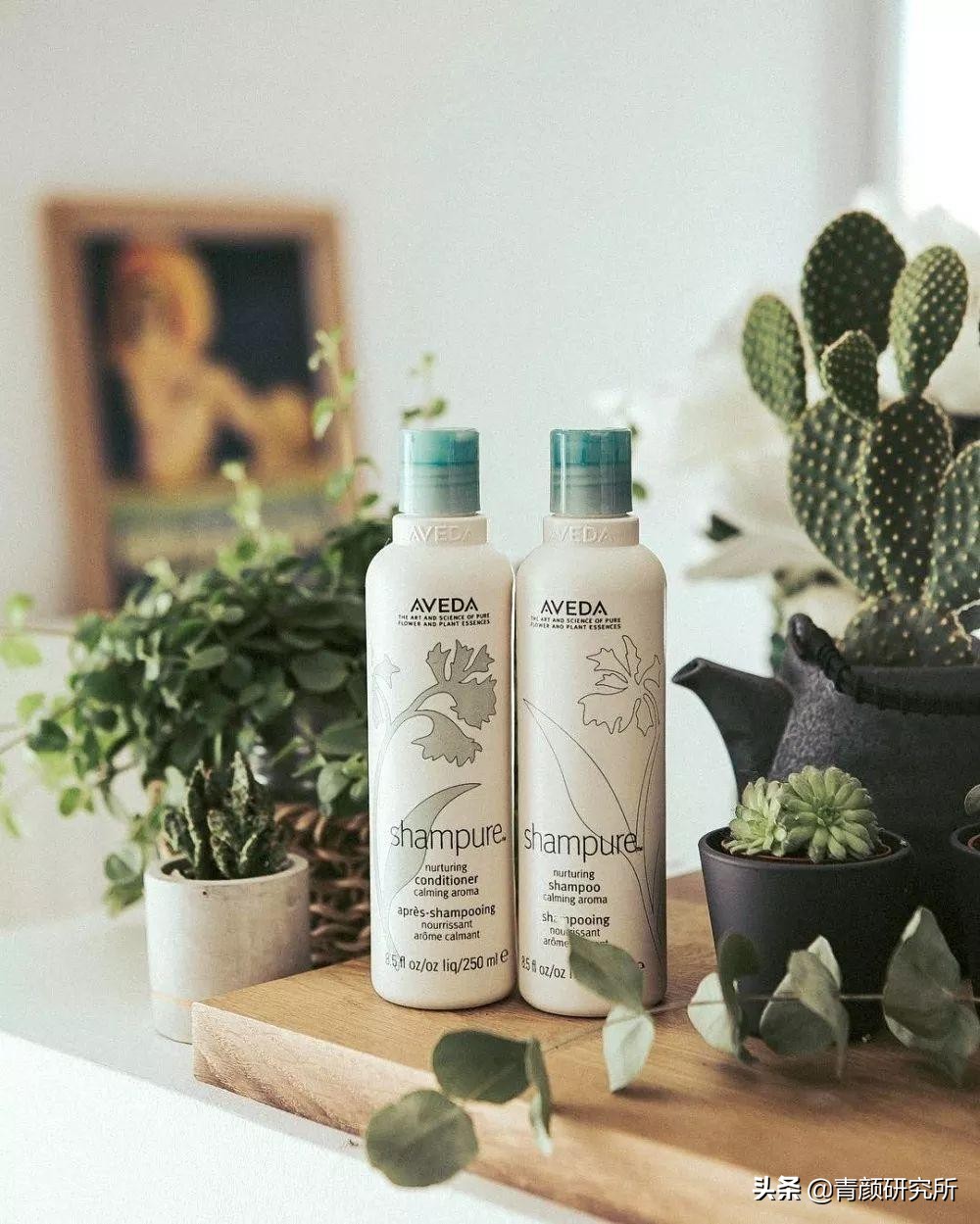 教你如何选择好用的洗发水,哪种洗发水最好用又能滋润